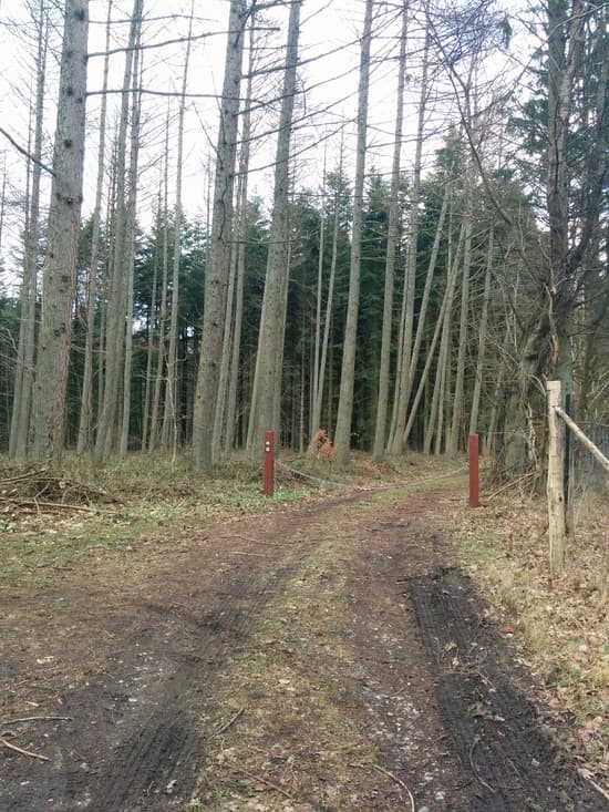 Southern chain barrier
