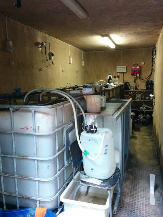 Inside northern container, Summer 2016